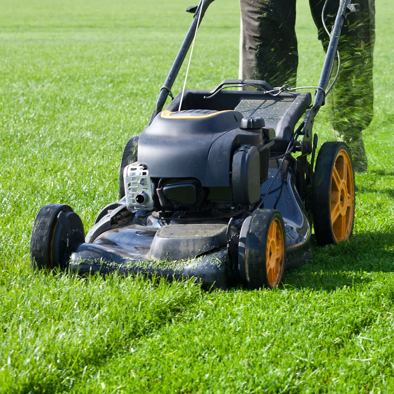 Lawn Mower
