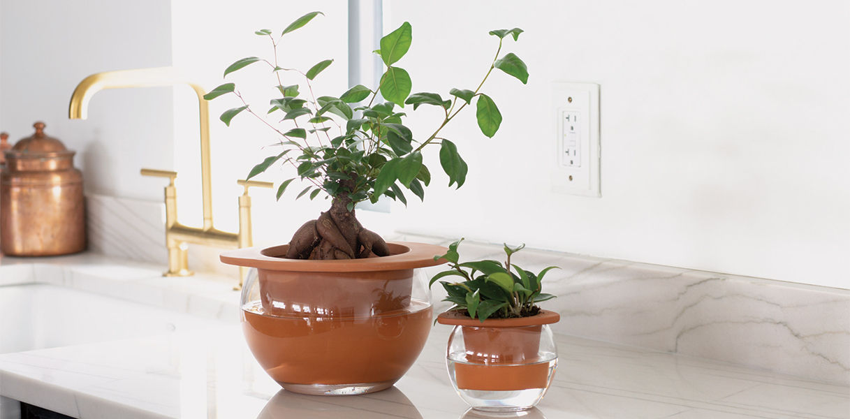 Flower pots