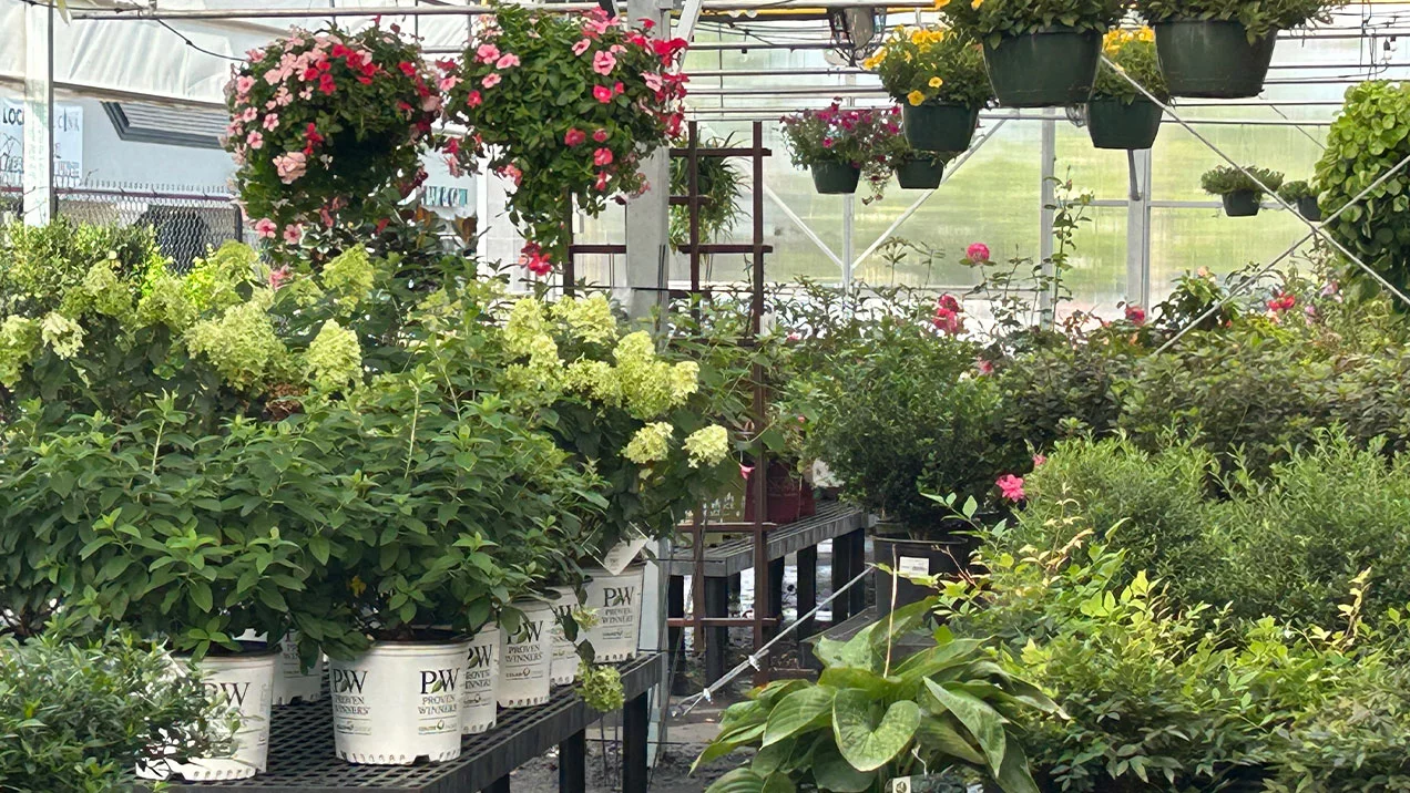 Furys Ferry Hardware Greenhouse