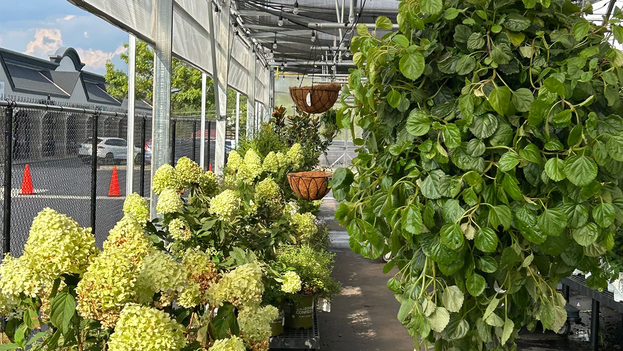 Furys Ferry Hardware Greenhouse