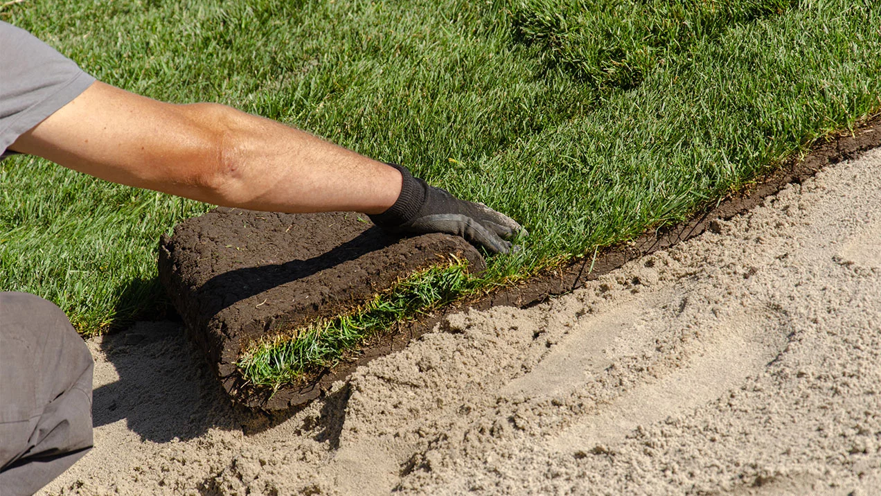 Rolls of sod in a pile