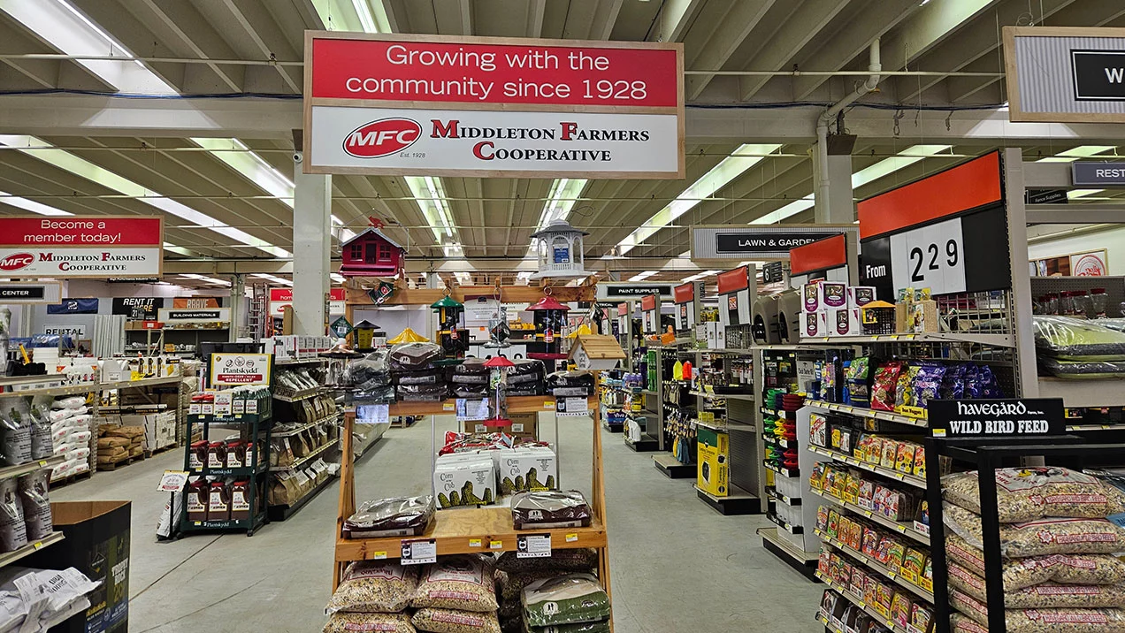 Store Signage