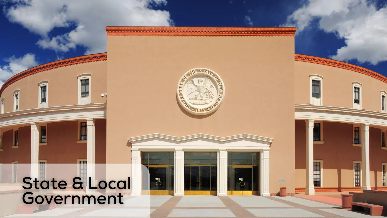 State and Local Government