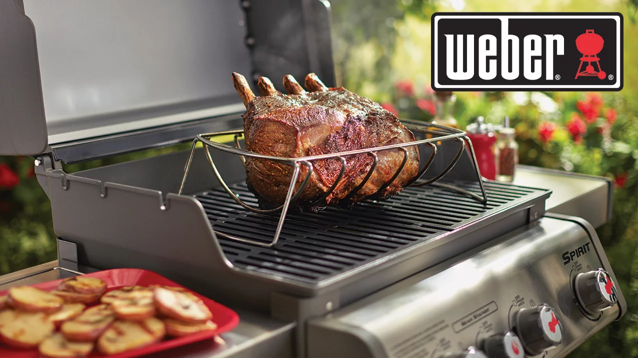 Weber logo - Weber grill