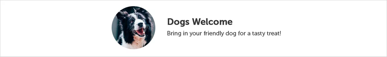 Dogs welcome