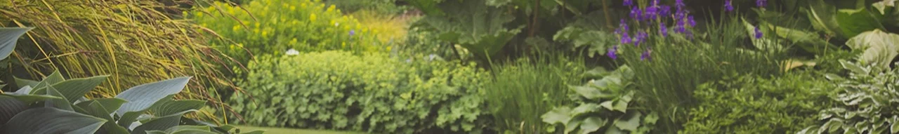 Lawn & Garden