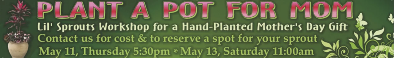 Plant A Pot For Mom