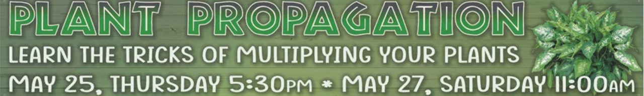 Plant Propagation