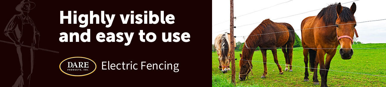 Highly visible and easy to use Dare Electric fencing - three horses standing in a green grassy field behind an electric fence