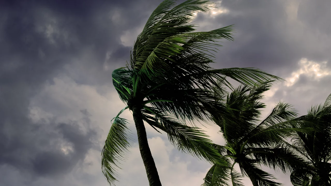 Hurricane Season