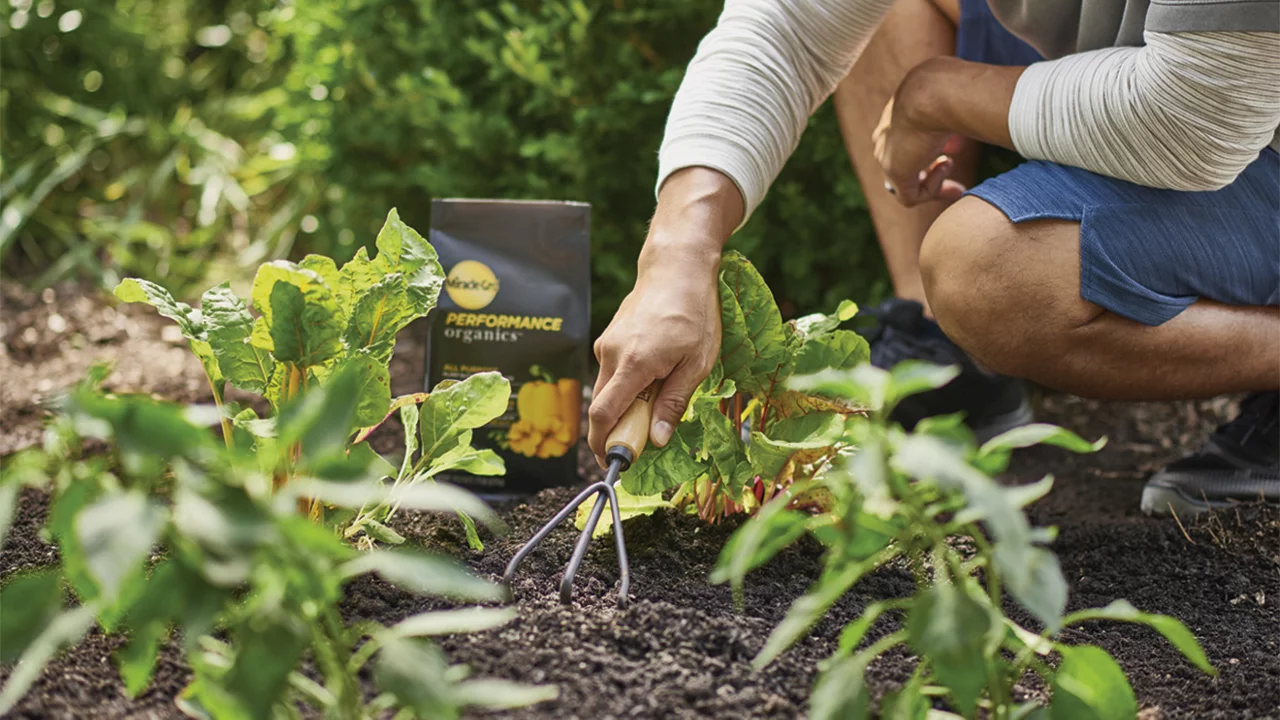 Lawn & Garden Supplies