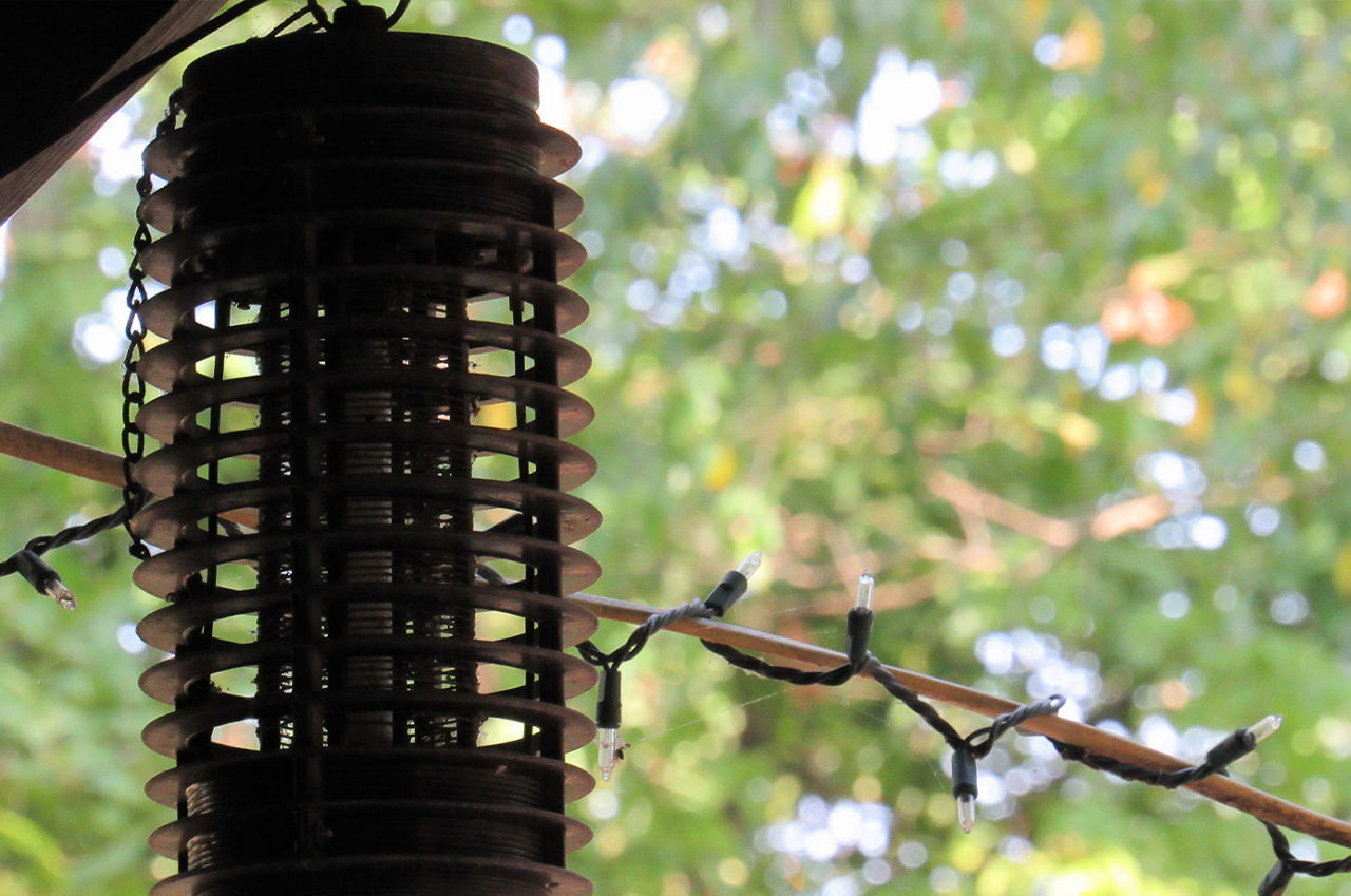 A bug zapper hanging from a tree