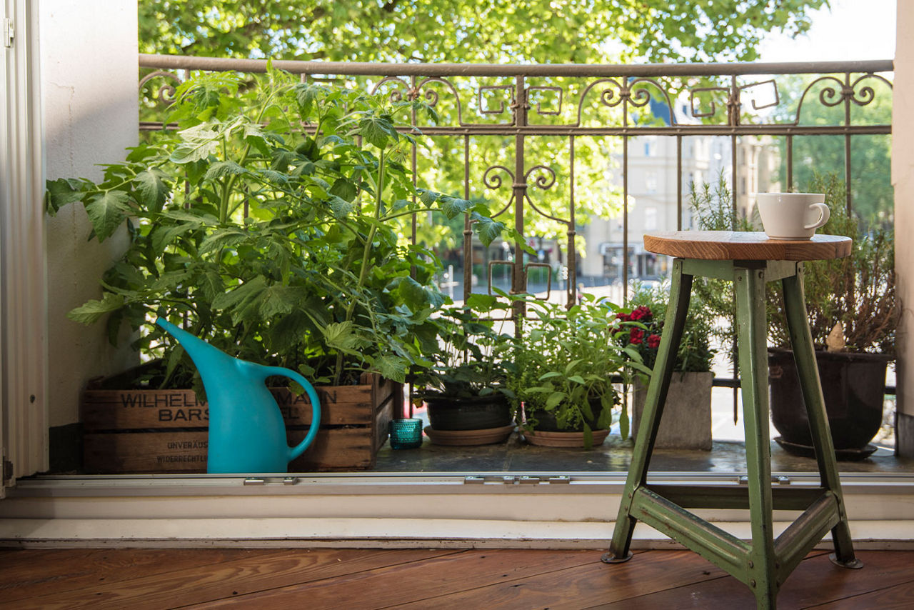 A small balcony with several plants 