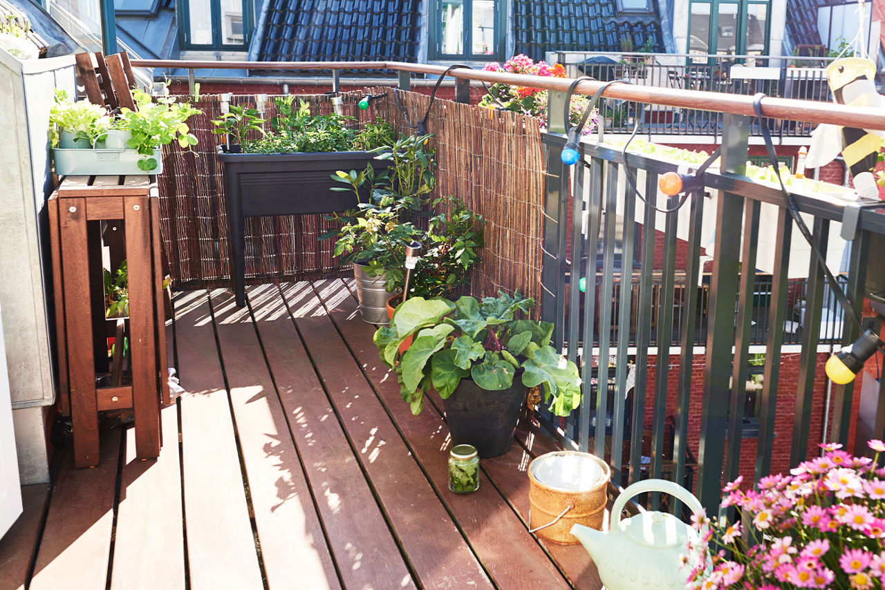 A small balcony with plants in containers