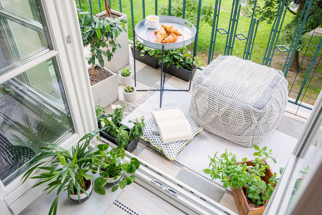 Various plants on a small balcony