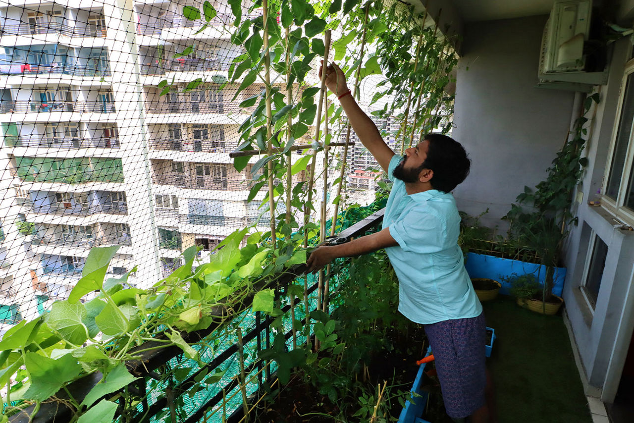 A man hanging a trellis on a balcony