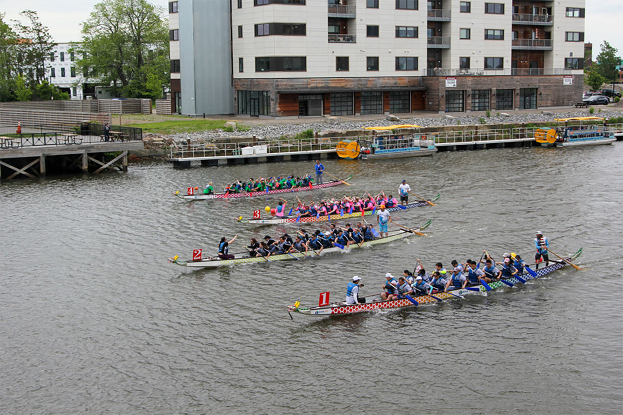 Extra wide view of the dragon boat race