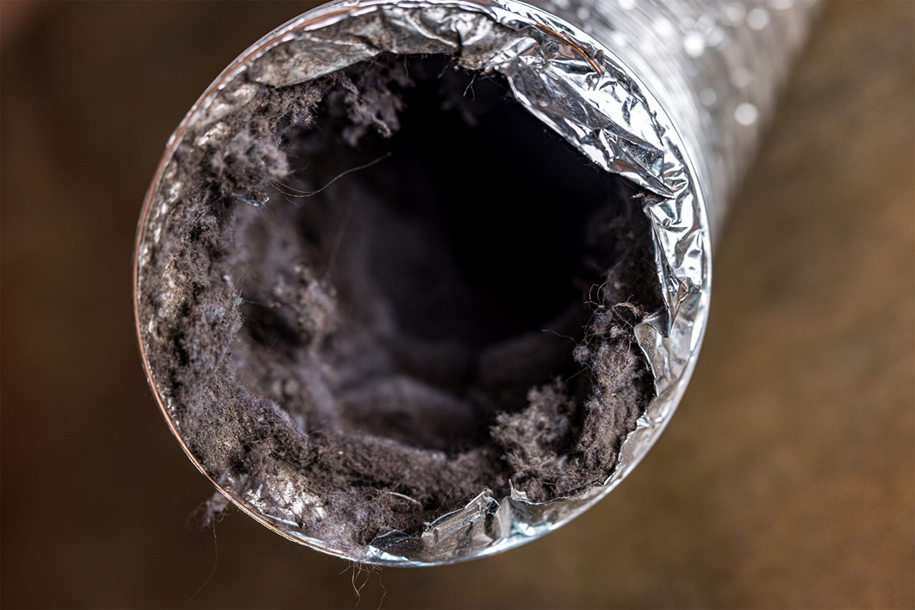 Inside of a dirty dryer vent