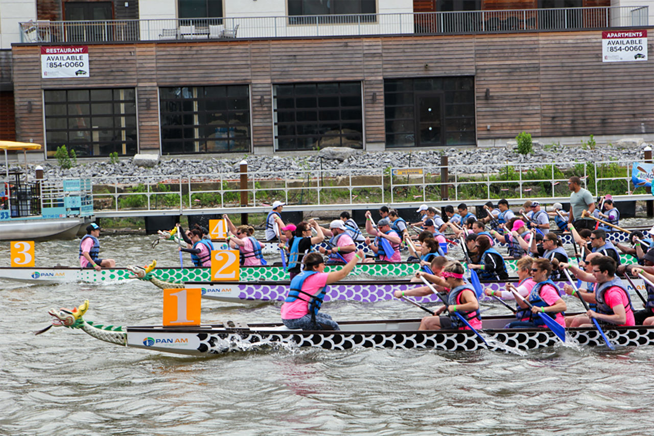 Wide view of the dragon boat race