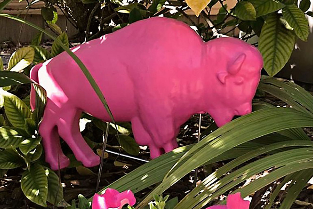 The original pink buffalo lawn ornament in a tree