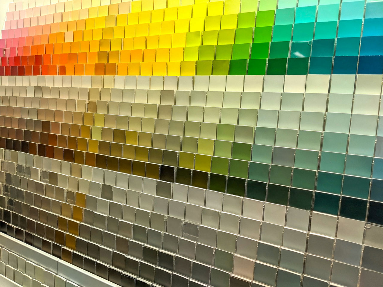 Wall of paint swatches