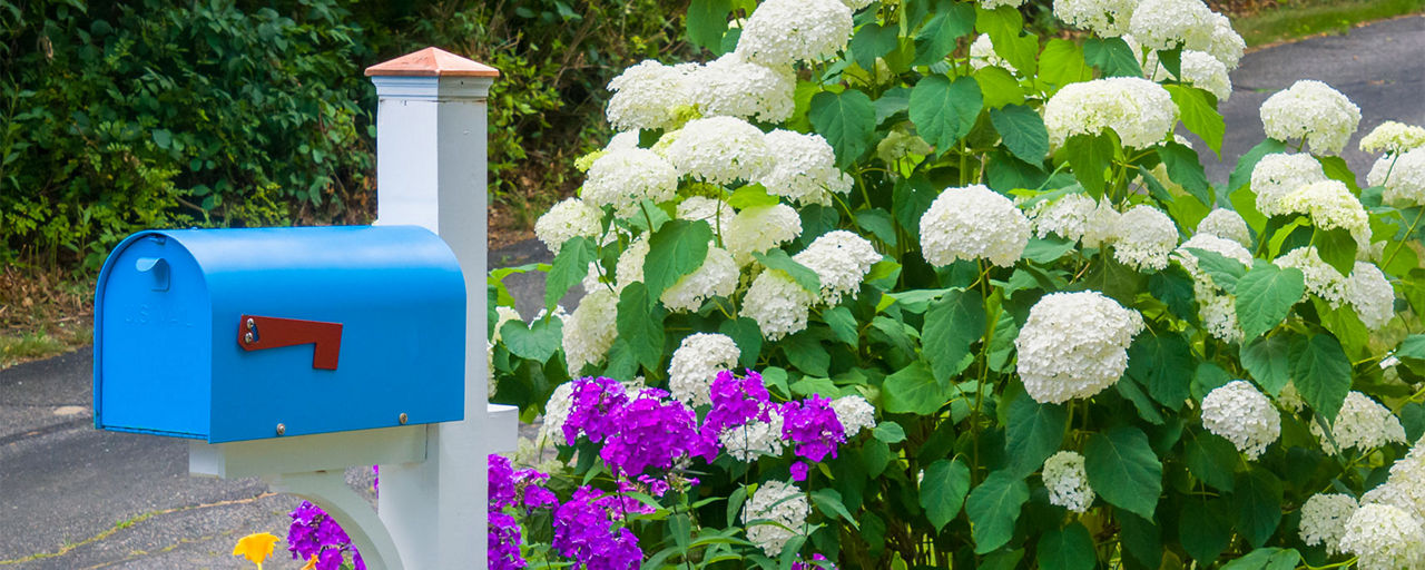 A decorative mailbox with a florals in behind it