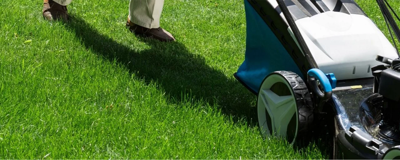 Lawn and Garden