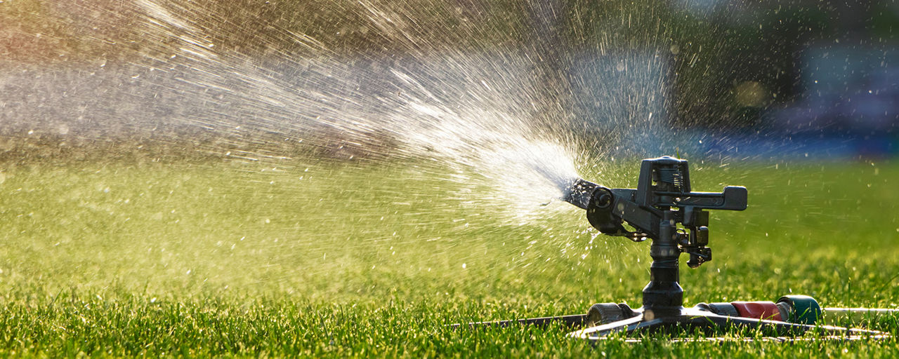 Rotary sprinkler head