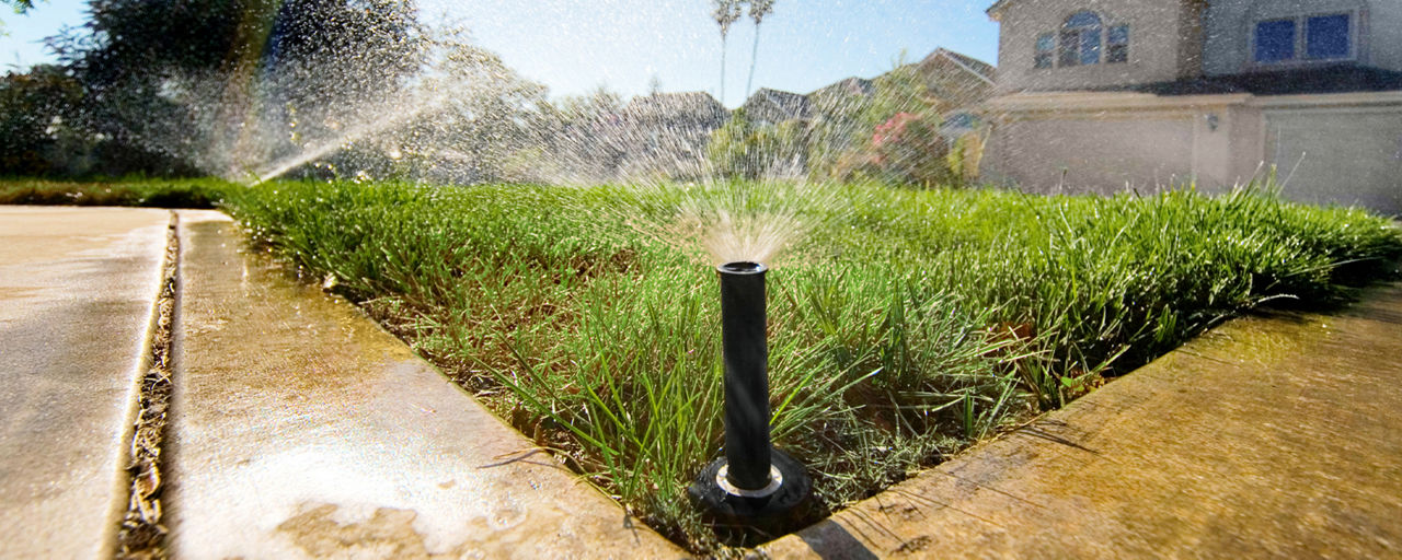 Close-up of a sprinkler head spraying a residential yard