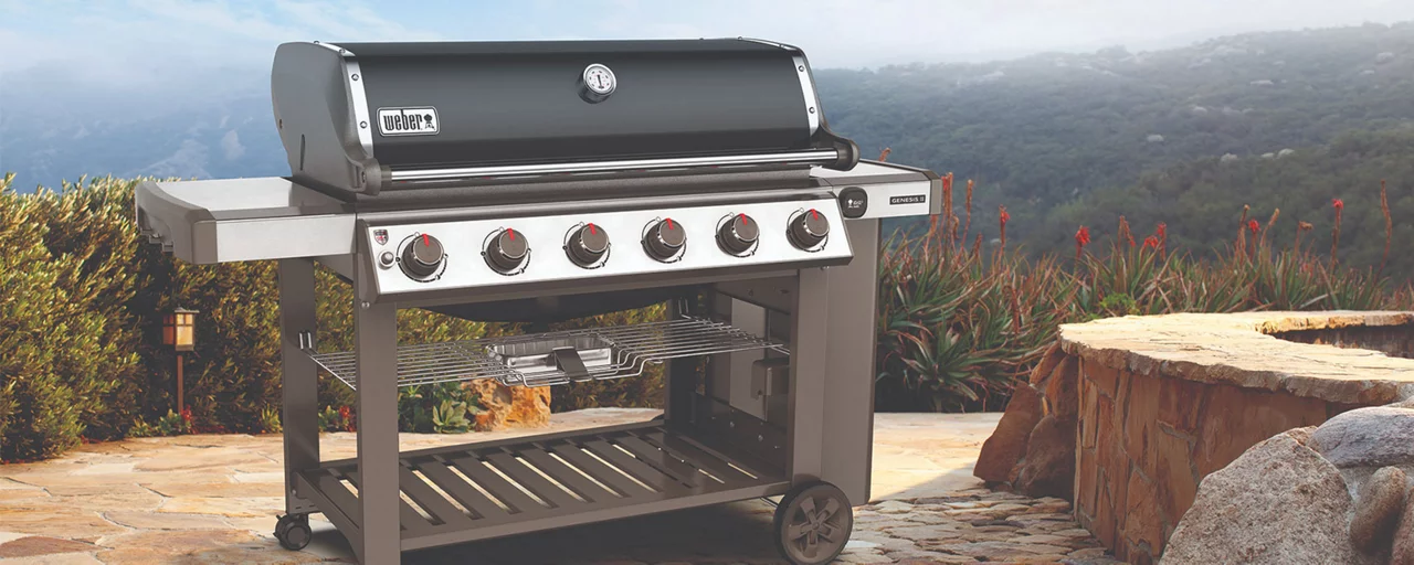 Weber Grill