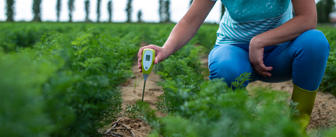 Testing the ph level of your garden soil