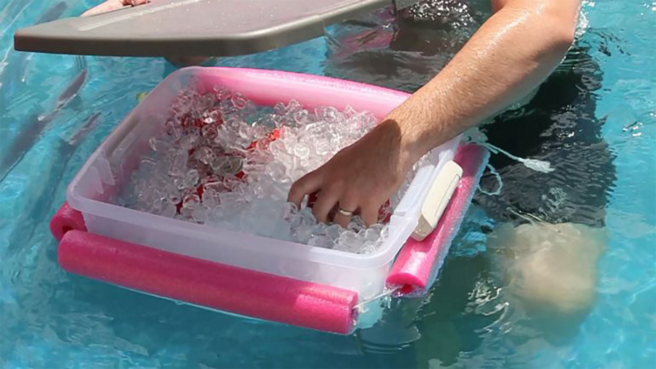 Person grabbing a soda from the pool noodle cooler