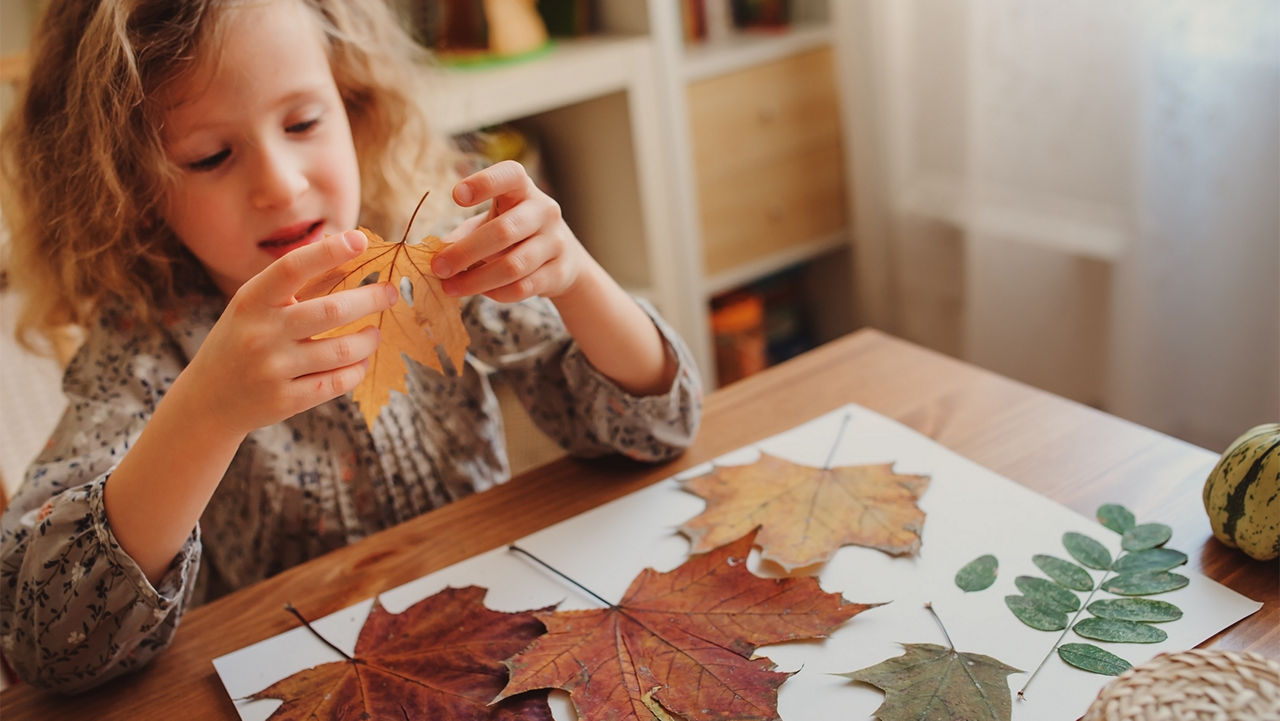 cute child girl making herbarium at home, autumn seasonal craftscute child girl making herbarium at home, autumn seasonal crafts