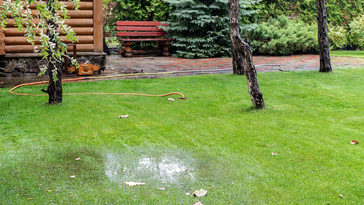 Garden bushes, tree and green grass lawn covered with water due to snow melting thaw and flash high water at spring. Natural disaster deluge flooded house backyard pathway ang greenery at countryside