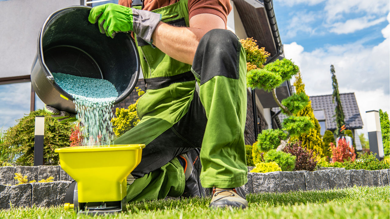 A man pouring lawn fertlizer into a handheld spreader