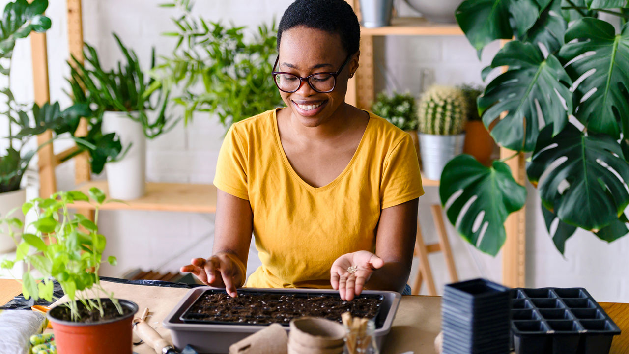 Young smiling African-American woman doing seed-starting early in the spring indoors for her backyard garden or a homestead garden