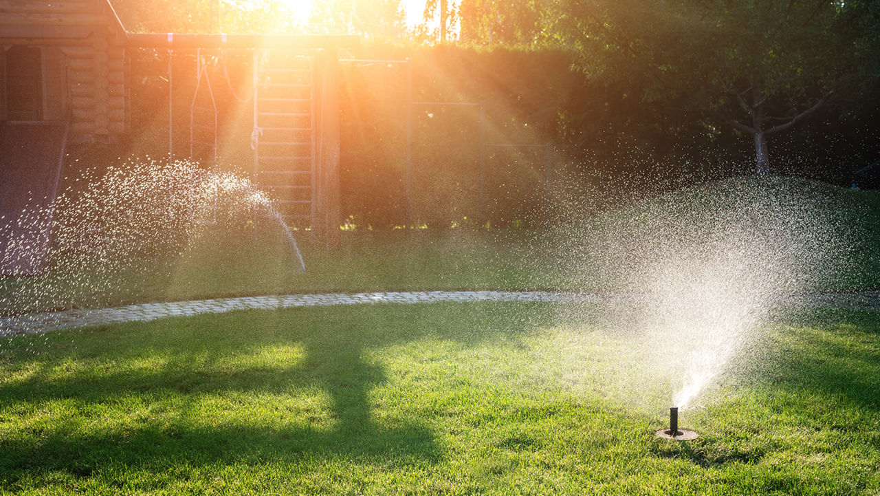 Sprinklers in residential backyard