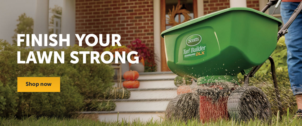 Finish Your Lawn Strong