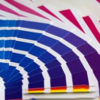 Custom Paint Mixing & Matching