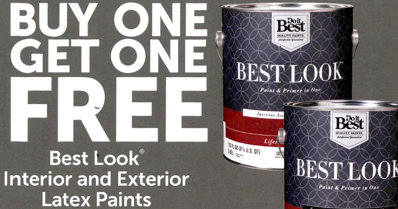 Paint Bogo 