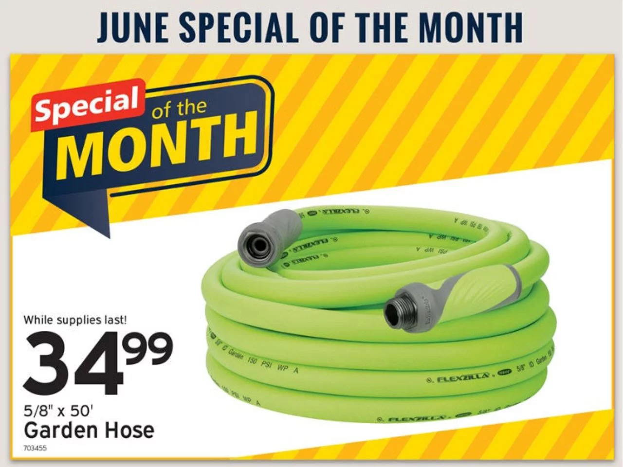 50' Garden Hose