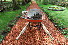 Wheelbarrow Buying Guide