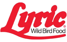 Lyric