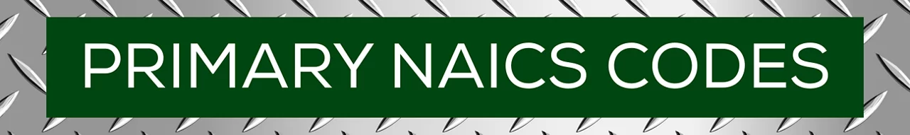 Primary NAICS Code- Text