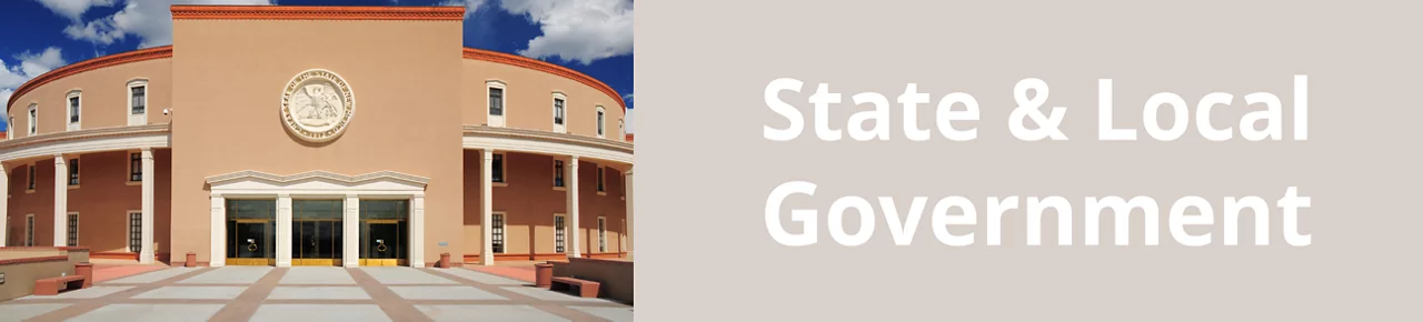 State & Local Government