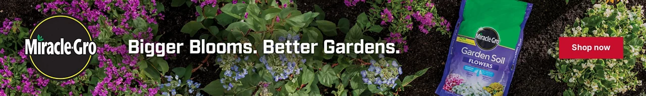 Bigger Blooms. Better Gardens. Shop Miracle-Gro