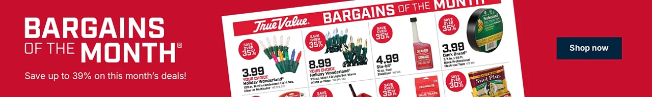 Bargains of the Month – Save up to 39% on this month's deals!