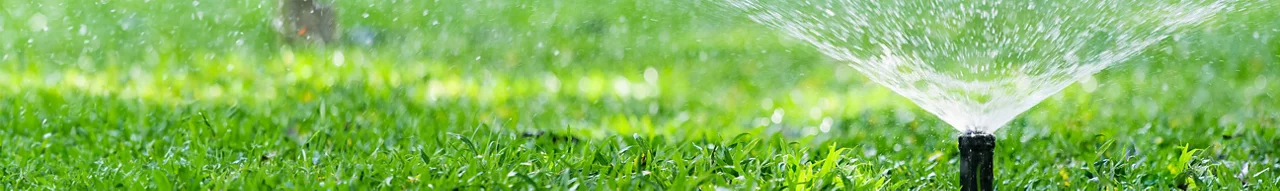 Sprinkler system in yard