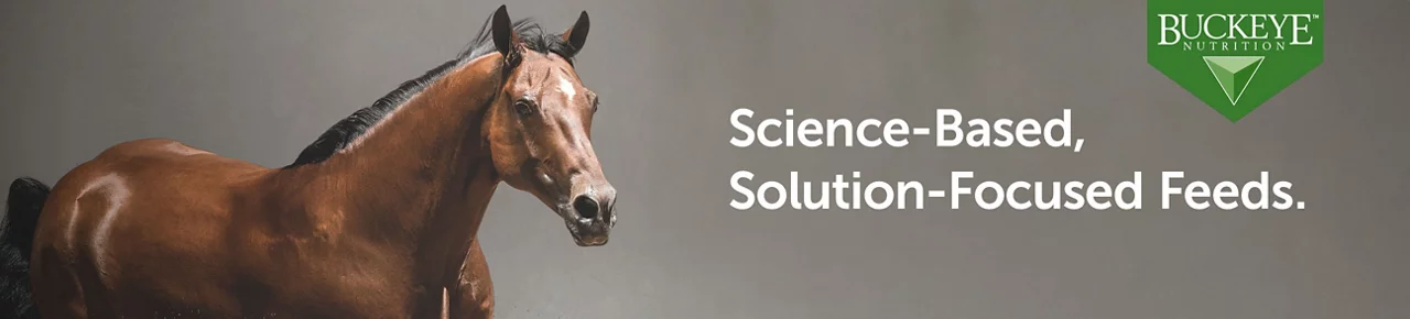 Buckeye Nutrition - Brown horse on the left side - "Science-Based, Solution-Focused Feeds.