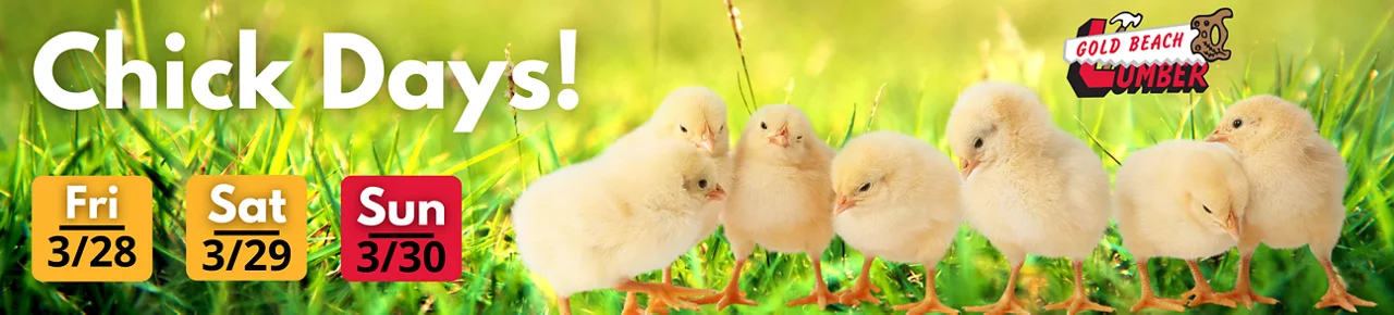Chick Days Happening at Gold Beach March 28th, 29th and 30th